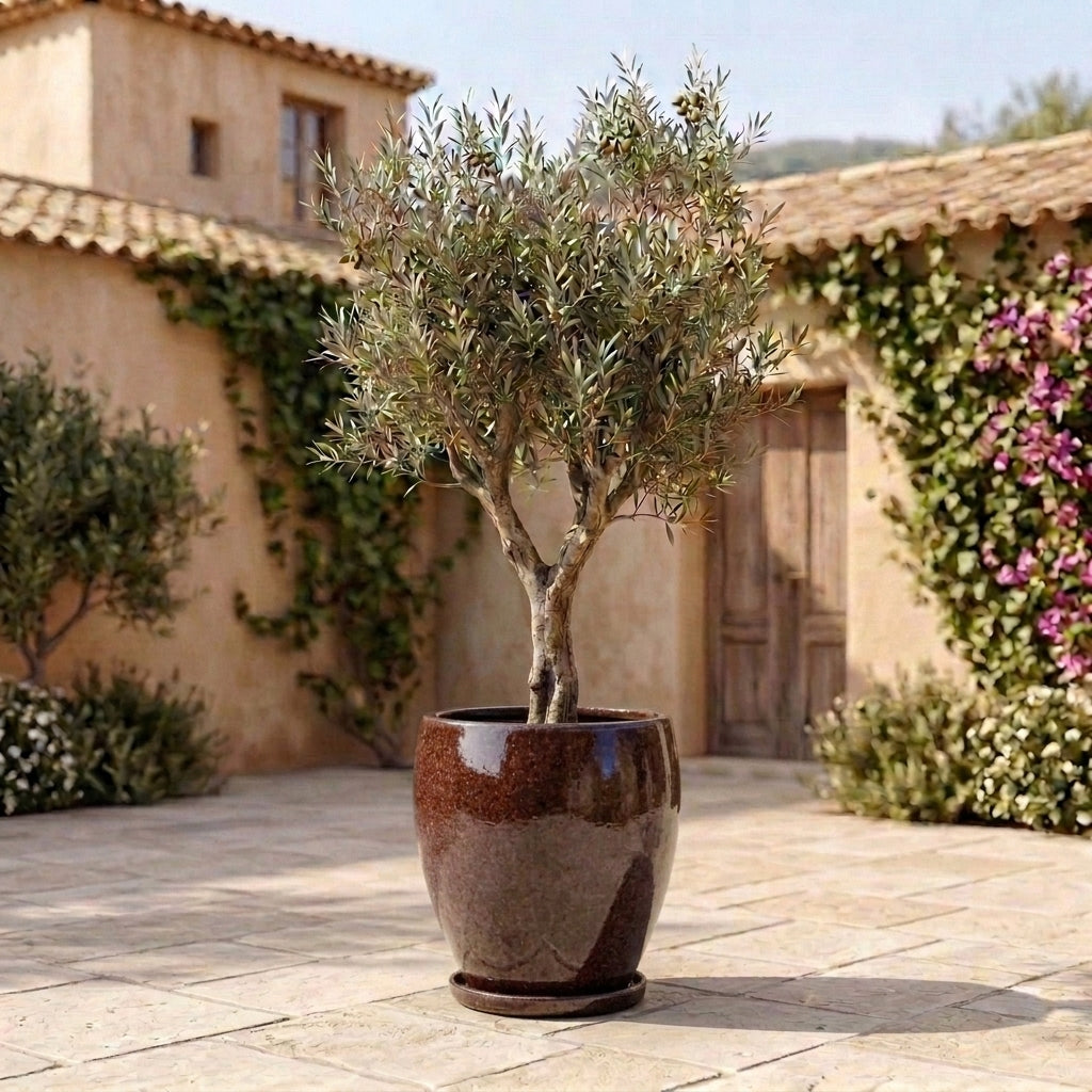 Sottovaso in ceramica viola autunnale per vaso – resistente al gelo