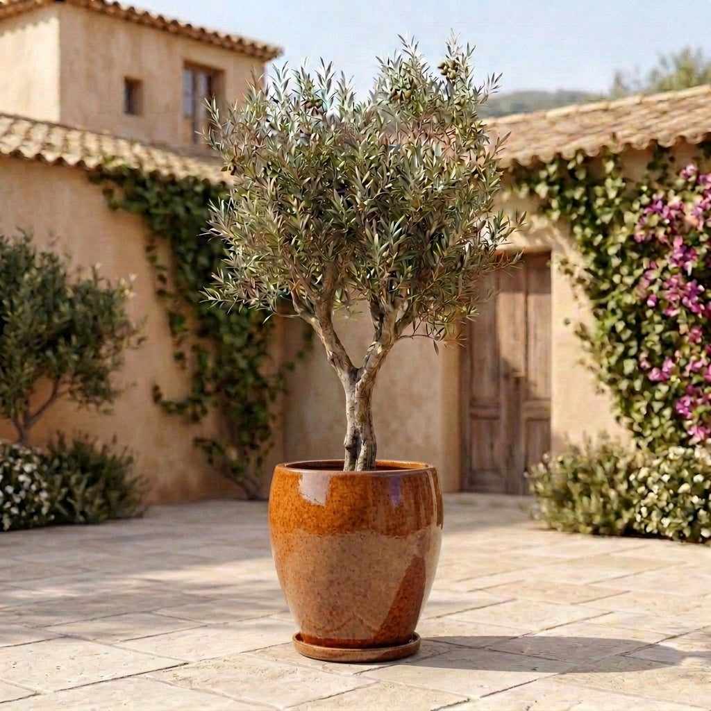 Autumn orange ceramic planter saucer – frost-resistant
