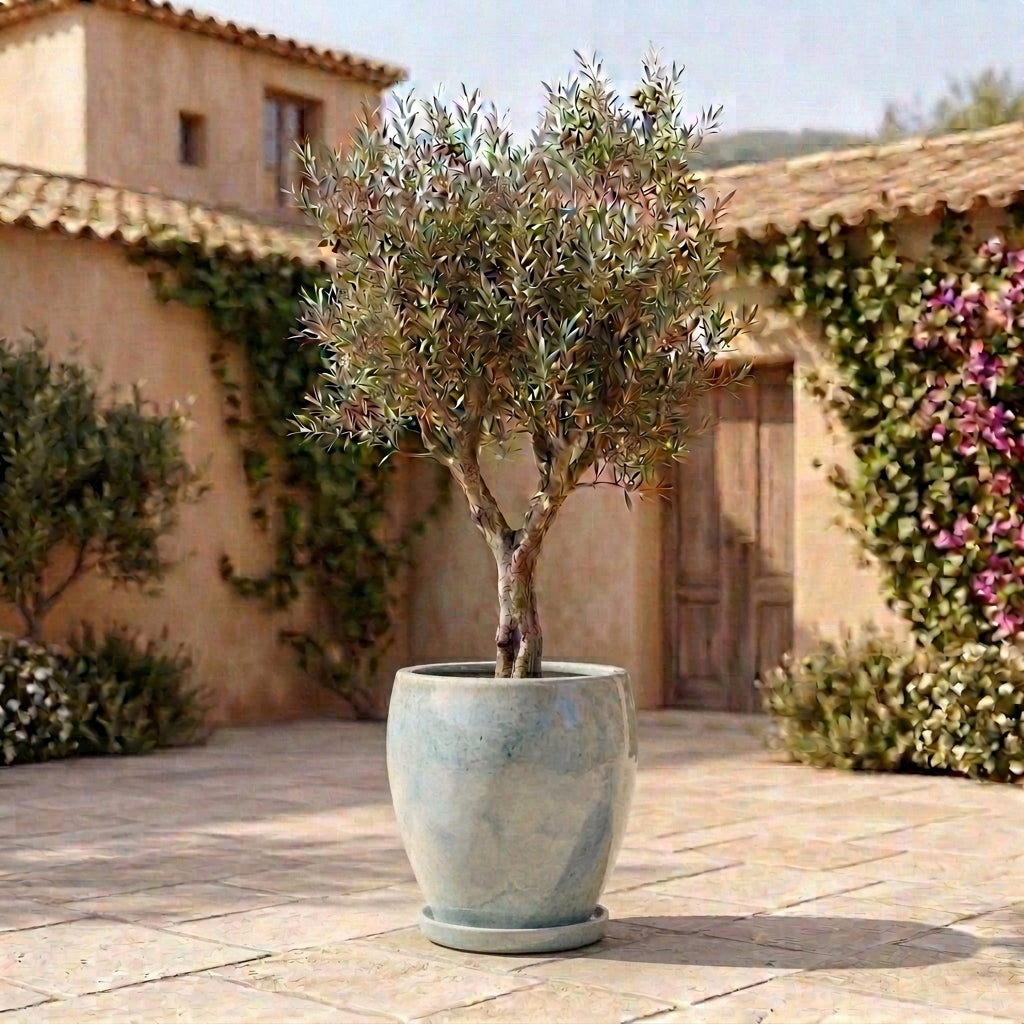 Pearl ceramic planter saucer – frost-resistant