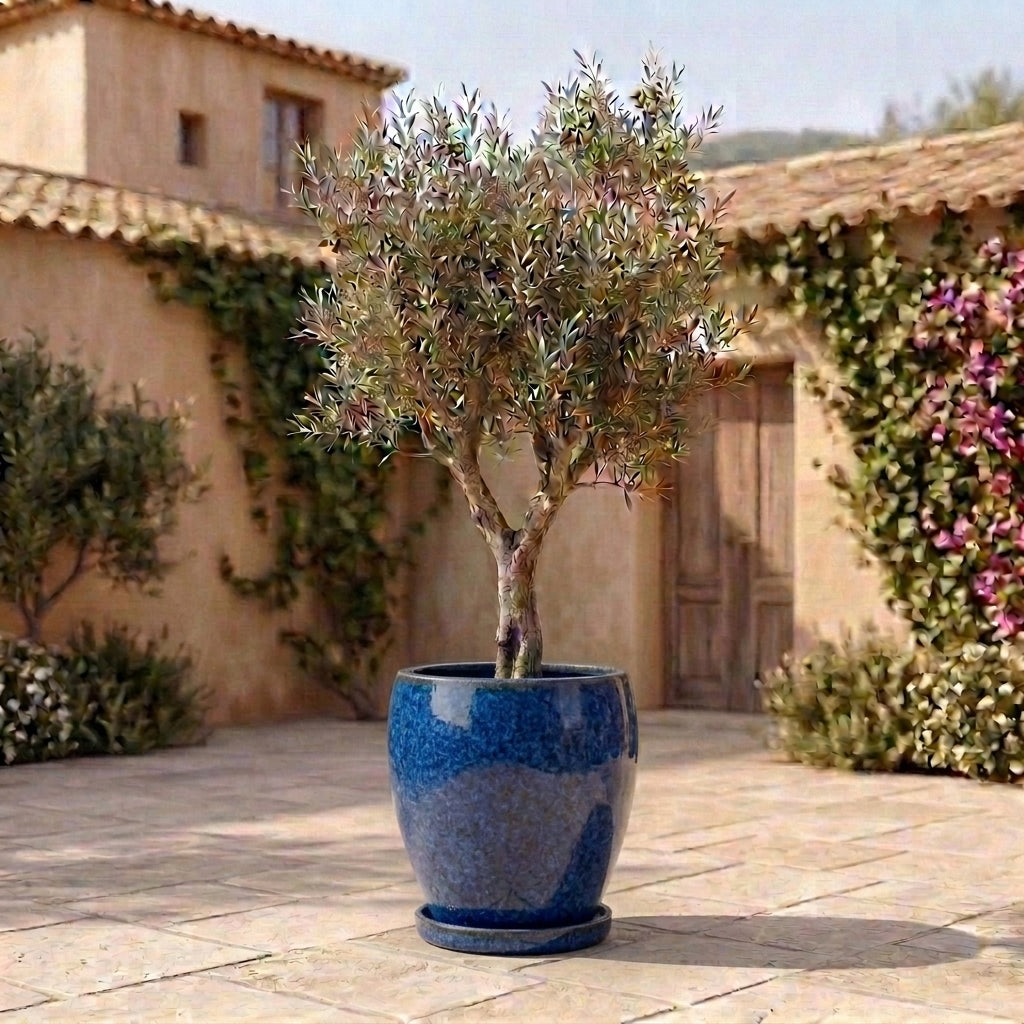 Sottovaso in ceramica blu Majorelle per vaso – resistente al gelo