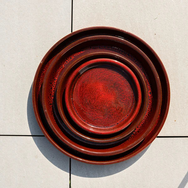 Tropical red saucer 45cm