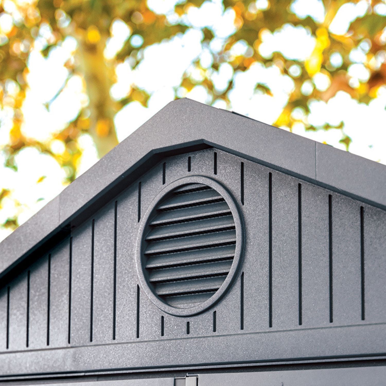 Abri de jardin DARWIN 4x4 Vert