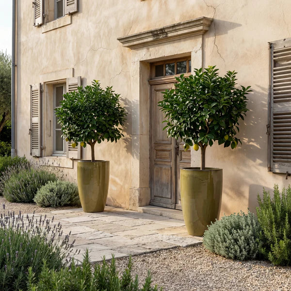 EIFFEL Pot 47x92cm sunset