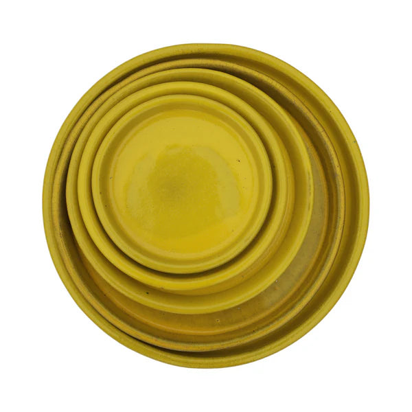 Ronde schotel 24cm amber honing