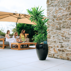 LAFONTAINE Pot 30x45cm black