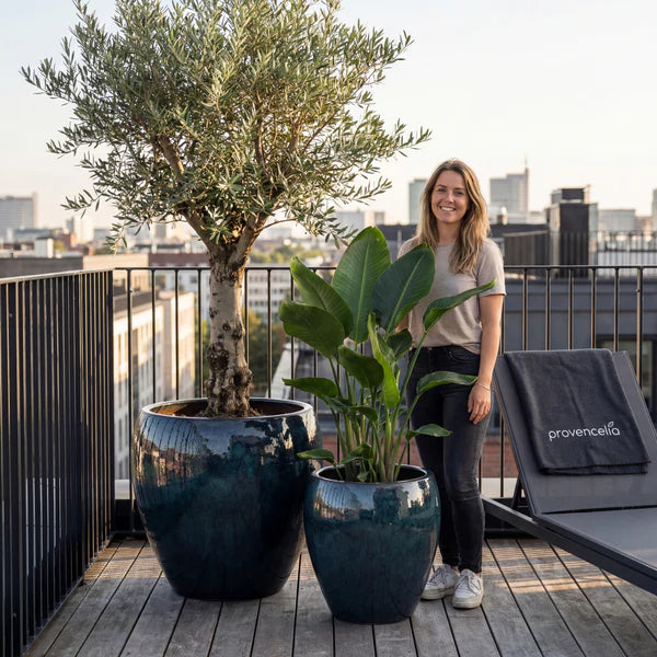 Pot LAFONTAINE2 67x68cm saphir