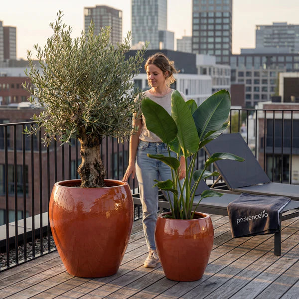 LAFONTAINE2 Pot 67x68cm aurora