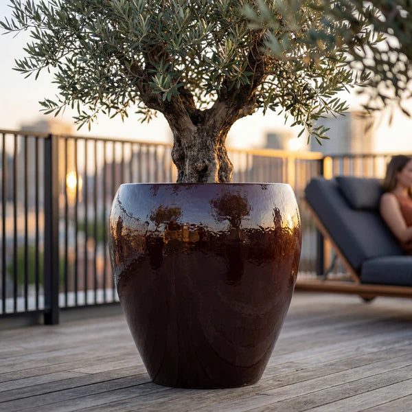 LAFONTAINE2 Pot 67x68cm purple