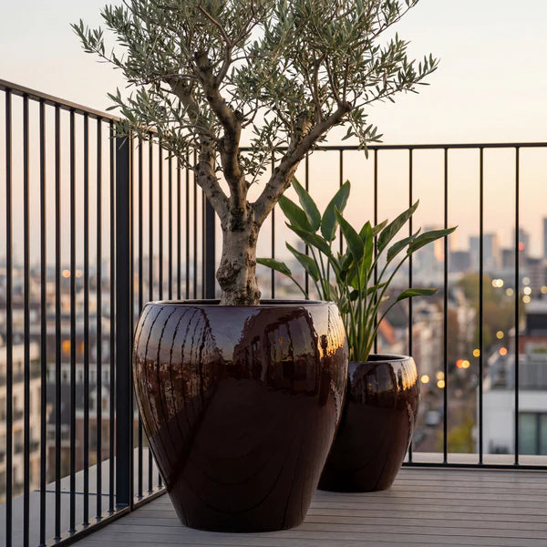 LAFONTAINE2 Pot 67x68cm purple