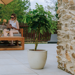 Vaso LANCELOT 29x26cm crema