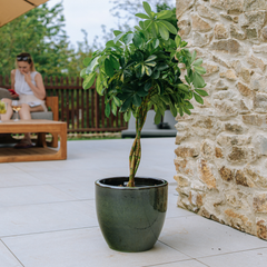 Pot LANCELOT 29x26cm vert tropical