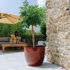 Pot LANCELOT 57x50cm rouge tropical