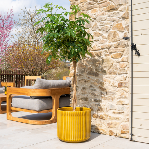 LONDON 42x39 cm, large outdoor handmade pot in glazed terracotta, frost-resistant, heliodor