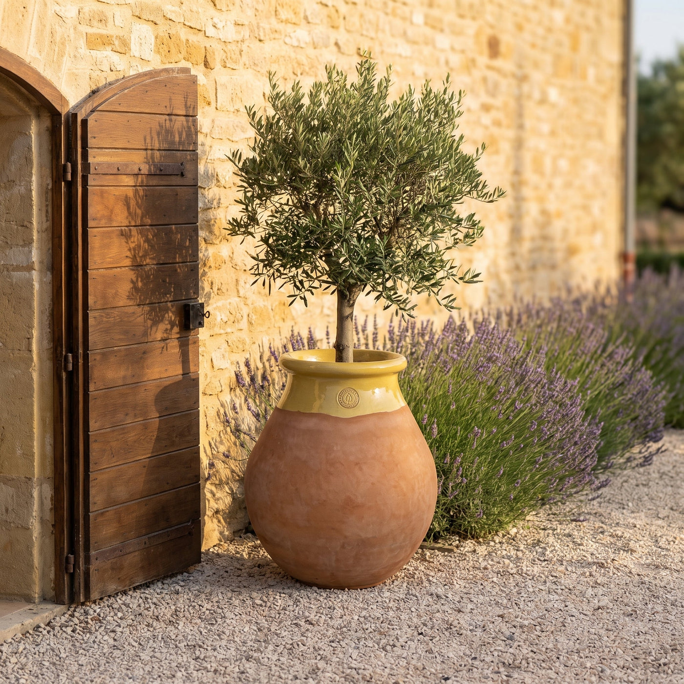 Une cour de Provence, une jarre au col miel, et le lieu trouve sa signature.
