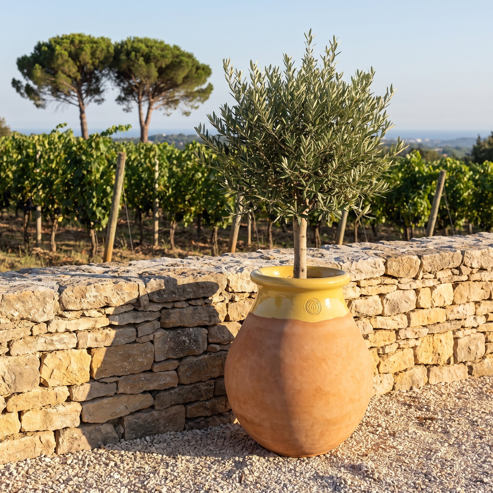 MADE IN PROVENCE Biot 63cm in whitewashed terracotta, honey-glazed rim