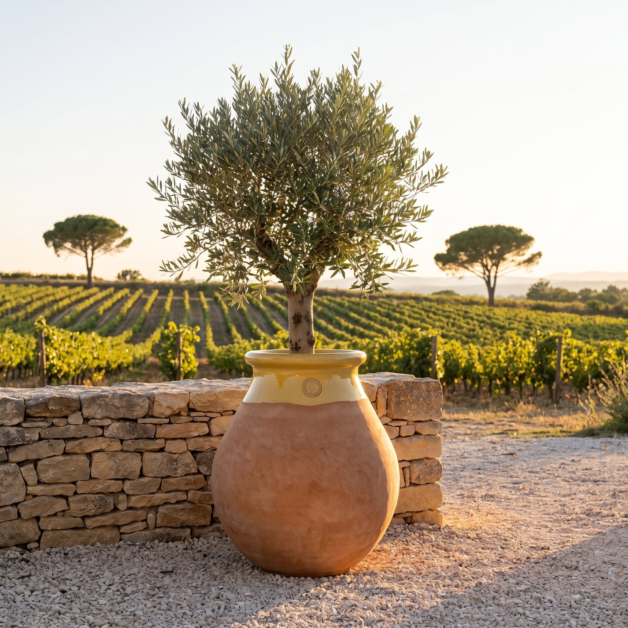MADE IN PROVENCE Biot 63cm in whitewashed terracotta, honey-glazed rim