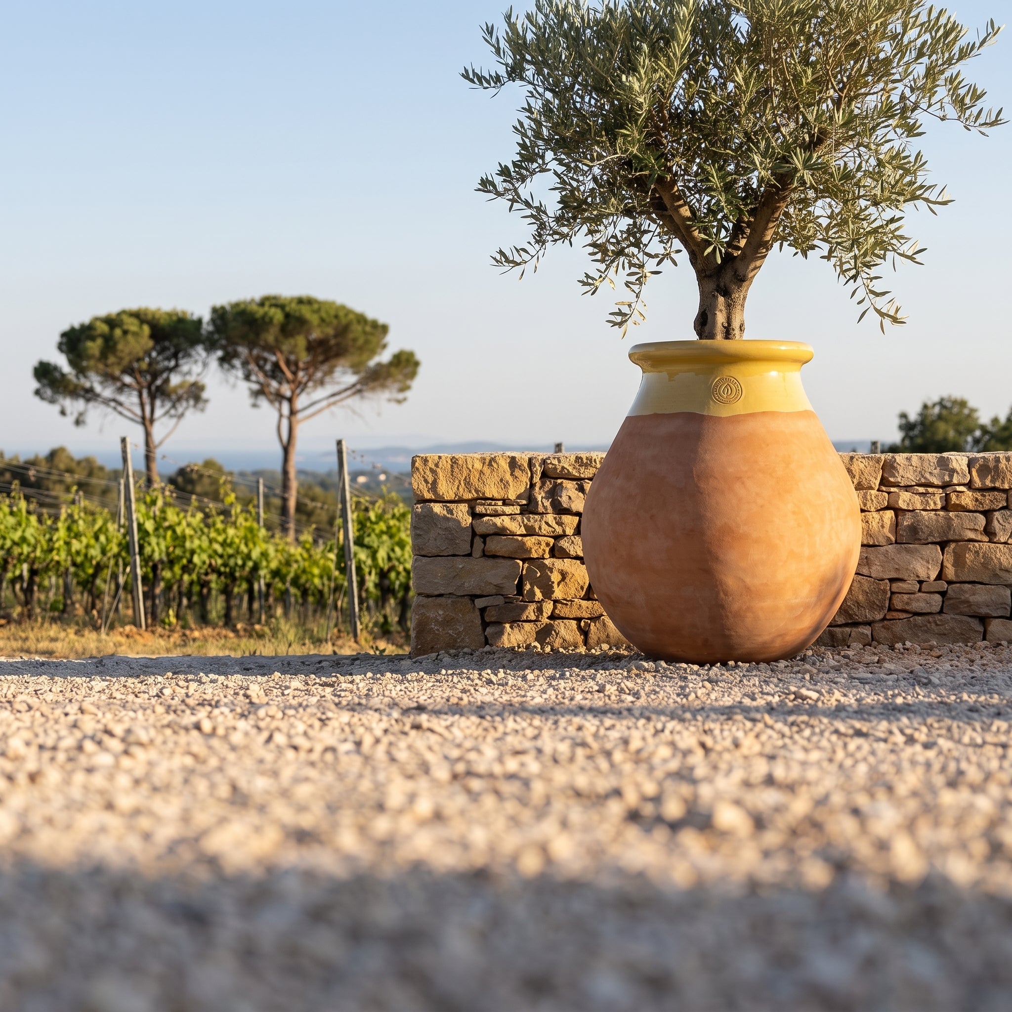 MADE IN PROVENCE Biot 63cm in whitewashed terracotta, honey-glazed rim