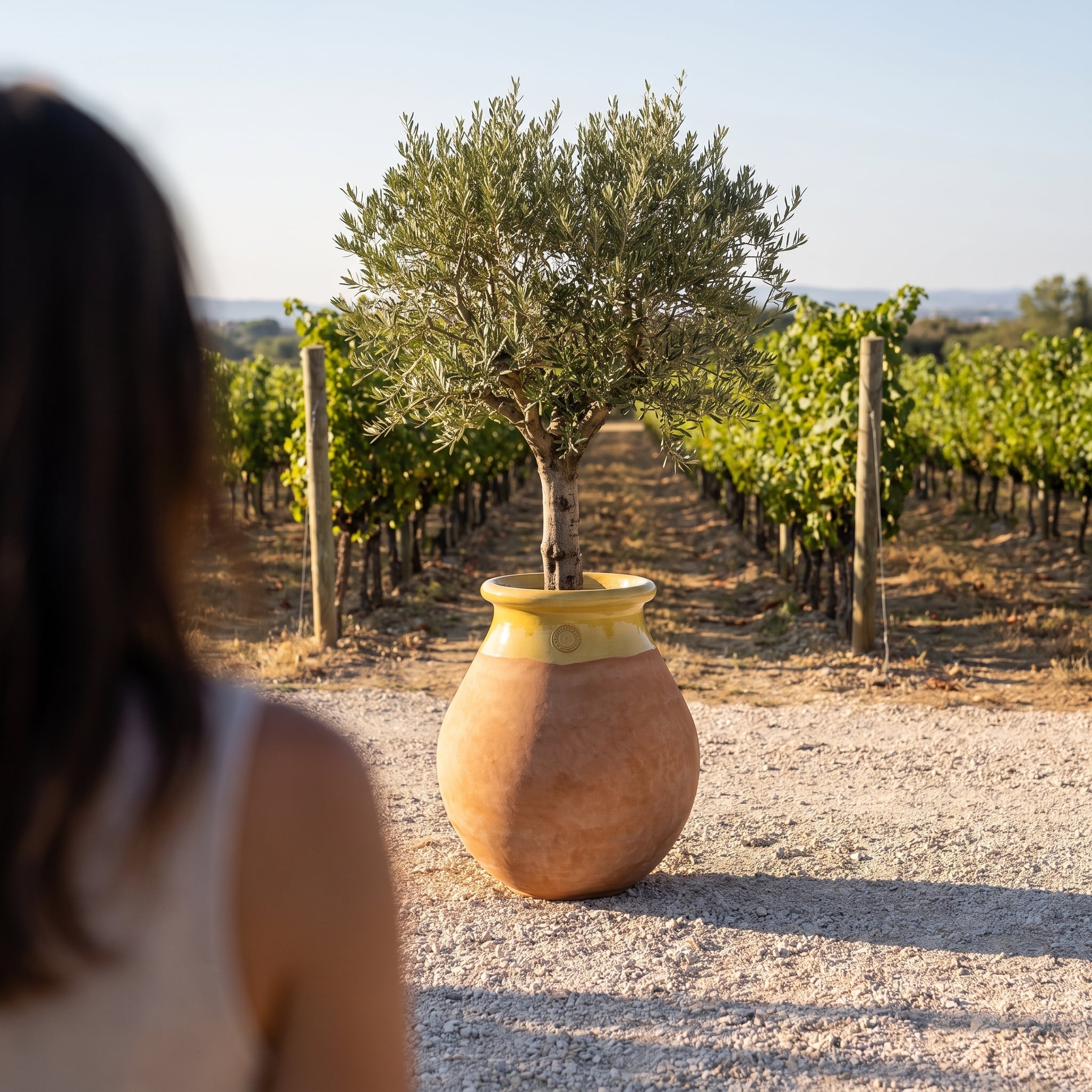 MADE IN PROVENCE Biot 63cm in whitewashed terracotta, honey-glazed rim
