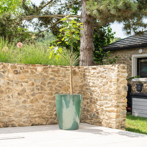 Pot MAZARIN 55x69cm jade