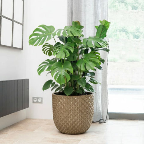 Pot MARS 30x30cm bronze sablé