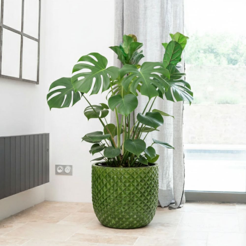 Pot MARS 30x30cm vert pomme