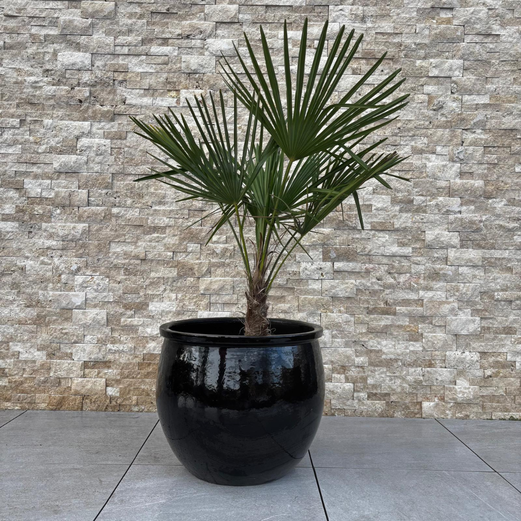 Pot NEWTON 55x46cm noir
