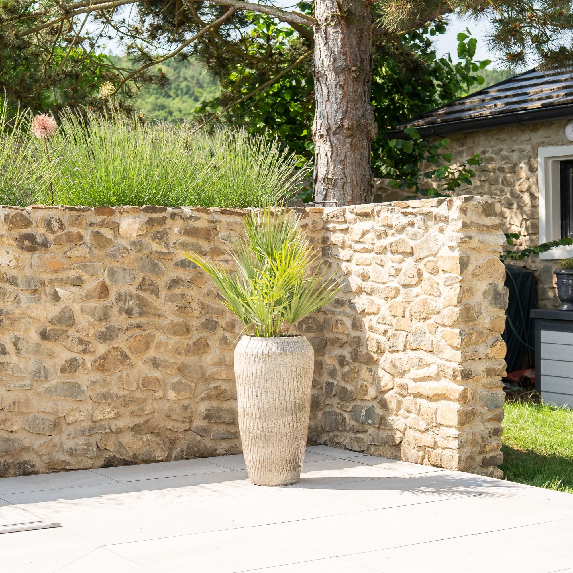 Pot POMPADOUR 36x69cm tigre blanc