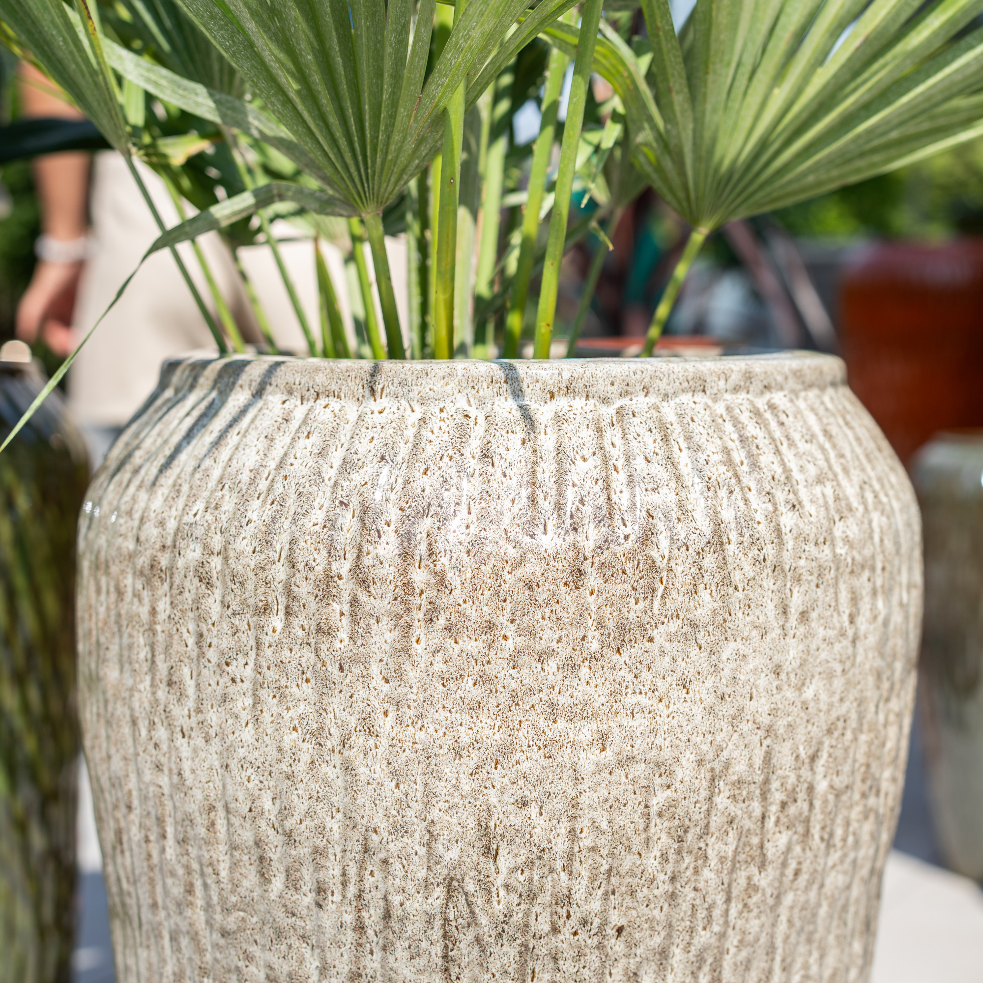 Pot POMPADOUR 36x69cm tigre blanc