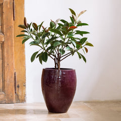 POSEIDON2 Pot 46x55cm light purple