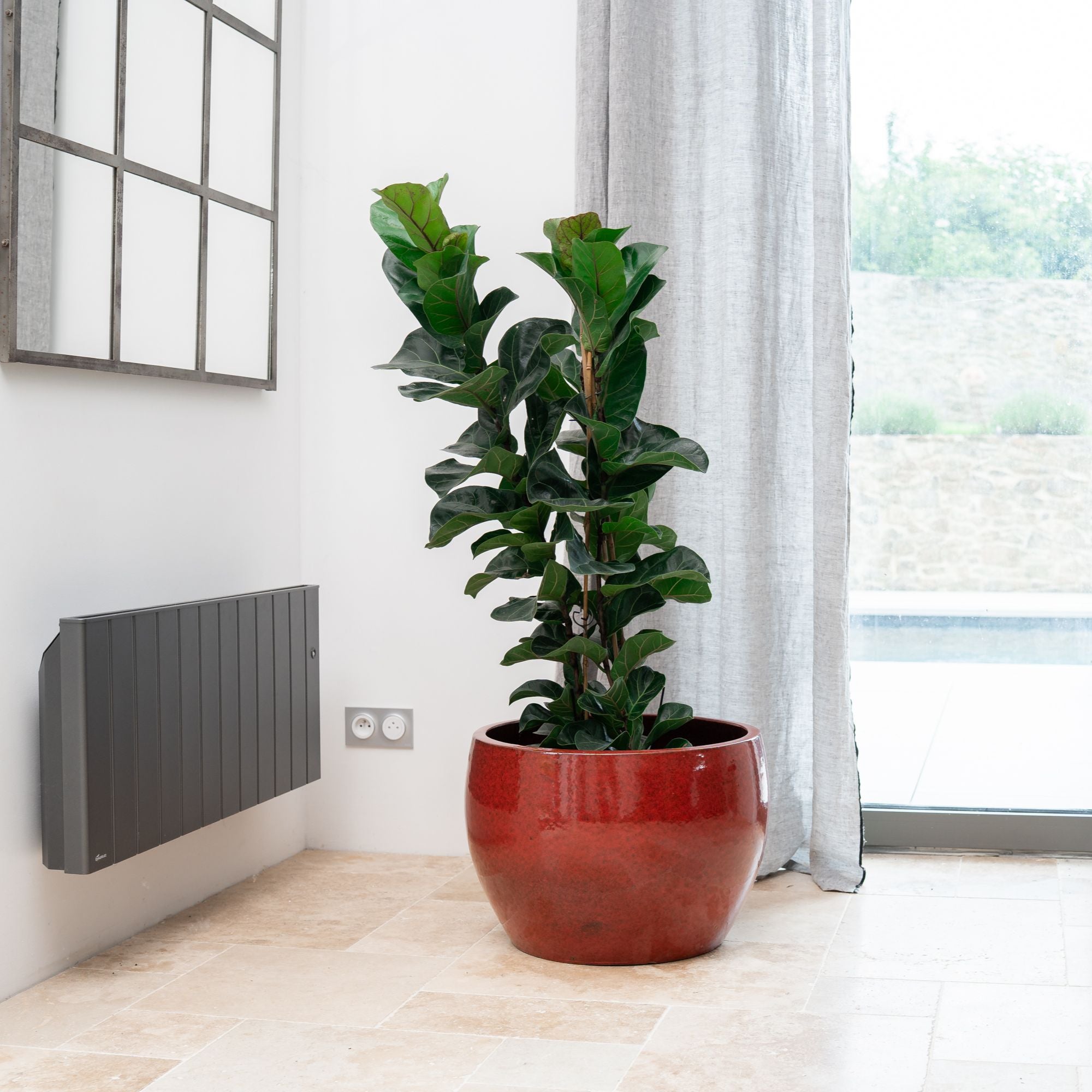 Pot ROMULUS 55x38cm rouge tropical