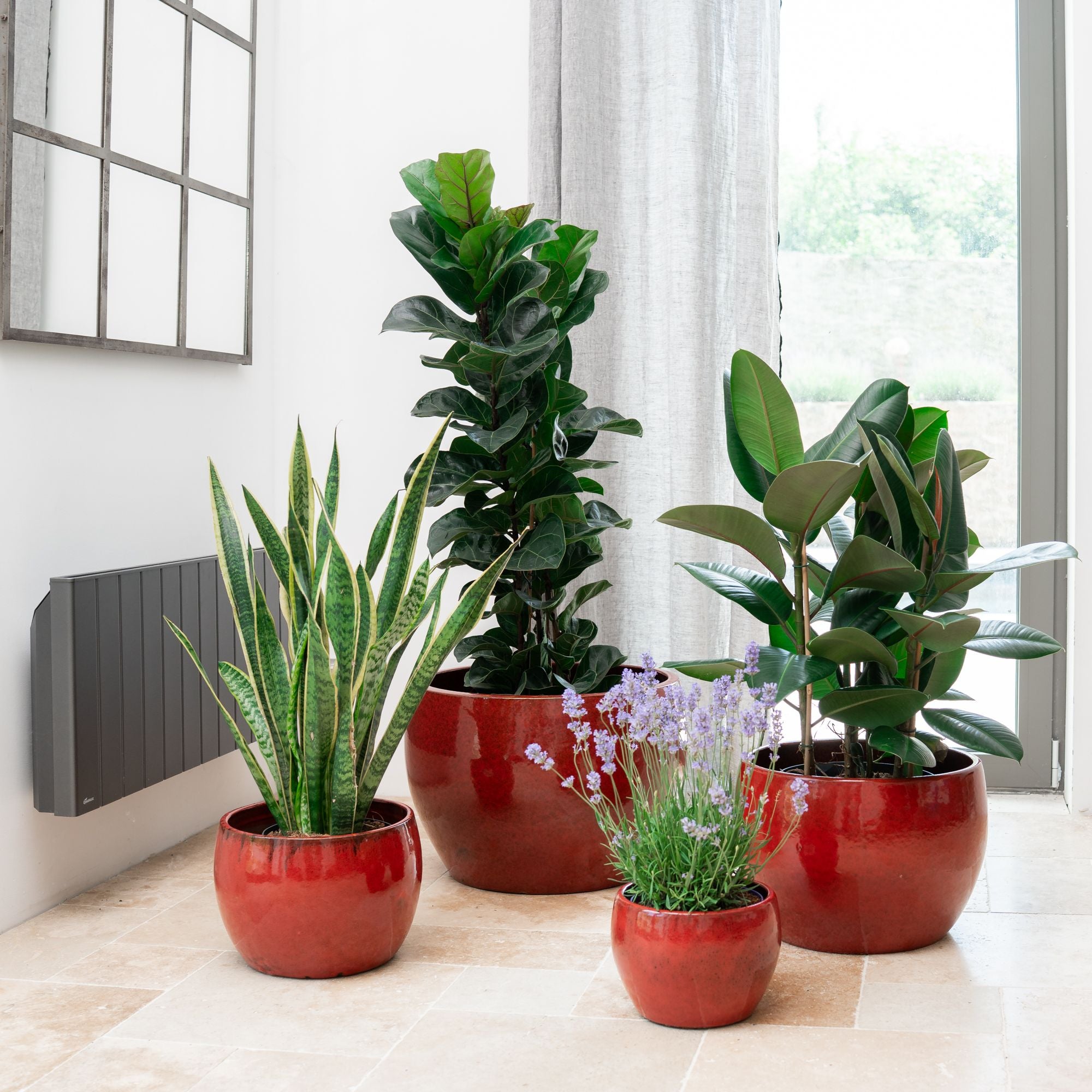 Pot ROMULUS 55x38cm rouge tropical