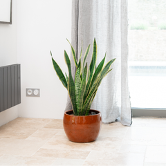 Vaso ROMULUS 21x15cm arancione tropicale