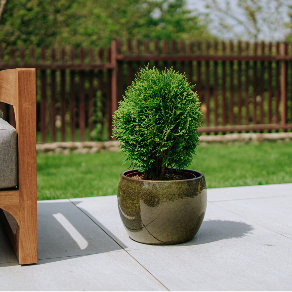 Pot ROMULUS 31x23cm vert tropical