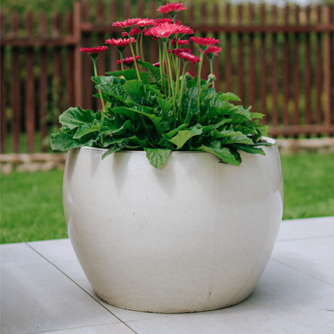 ROMULUS Pot 42x30cm cream