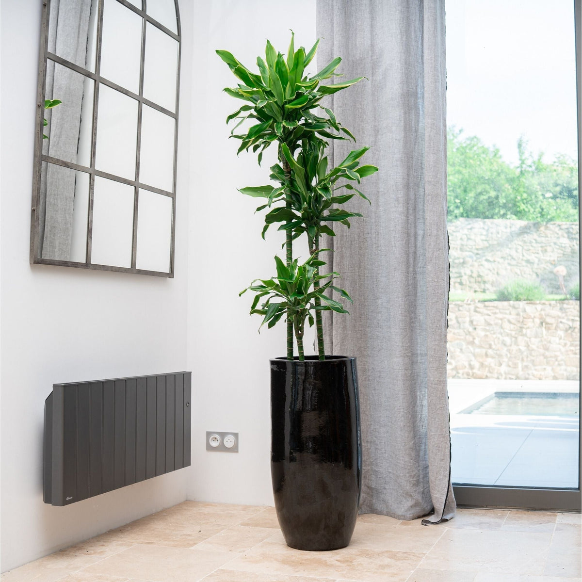 Pot Athena en forme d'amphore 31x70 cm noir en terre cuite émaillée, avec plante verte en intérieur