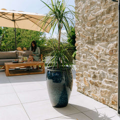 BACCHUS 36x52cm bleu abysse