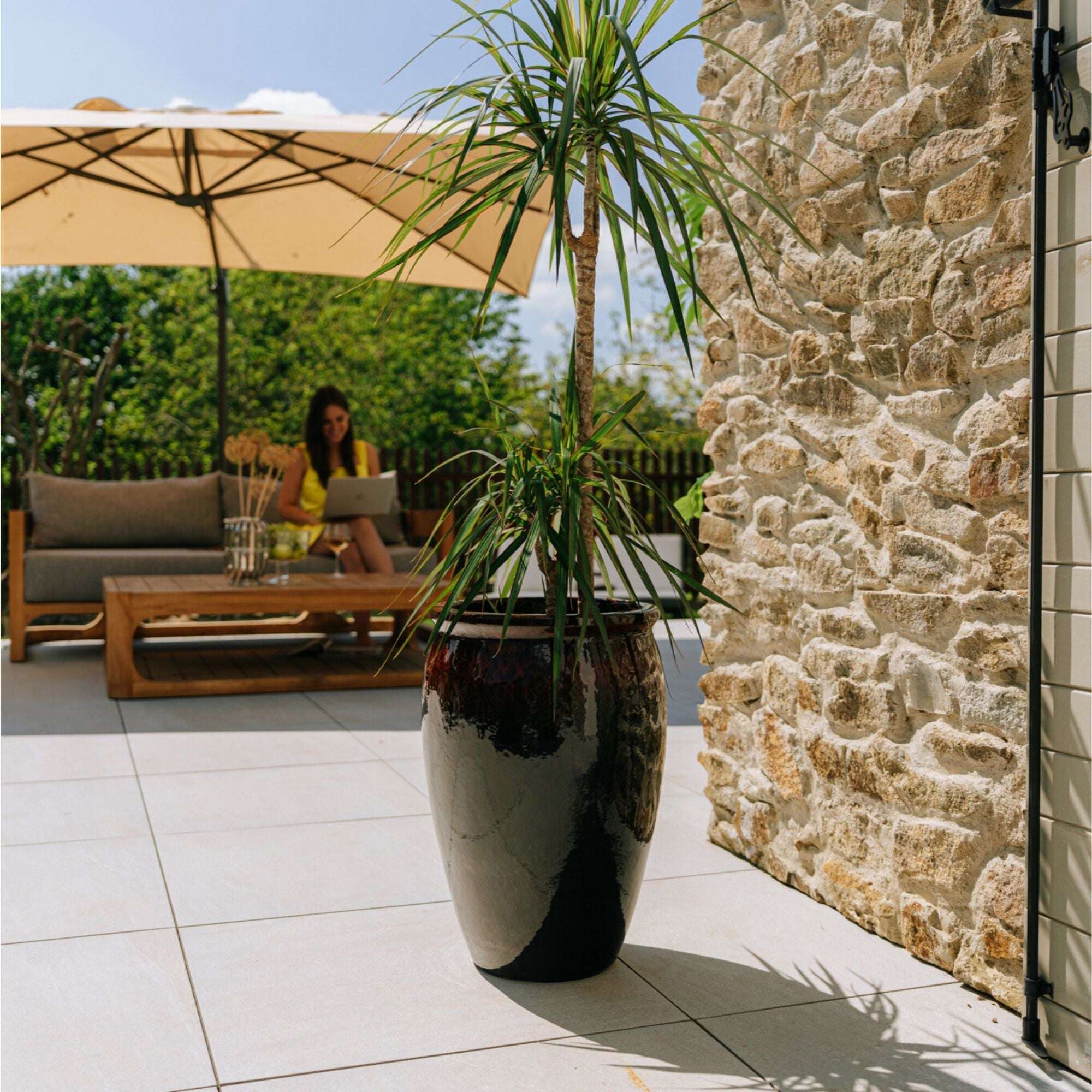 BACCHUS 36x52cm noir & rouge Provencelia