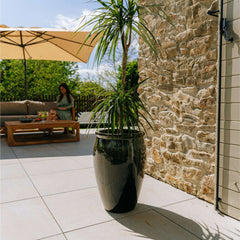 BACCHUS 36x52cm black & green