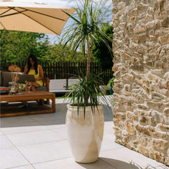 BACCHUS 36x52cm pearl