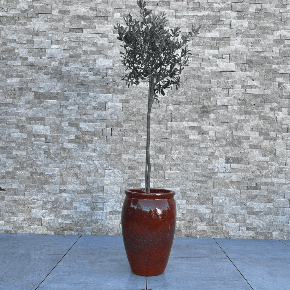 Vaso BACCHUS 36x52cm ruggine d'autunno