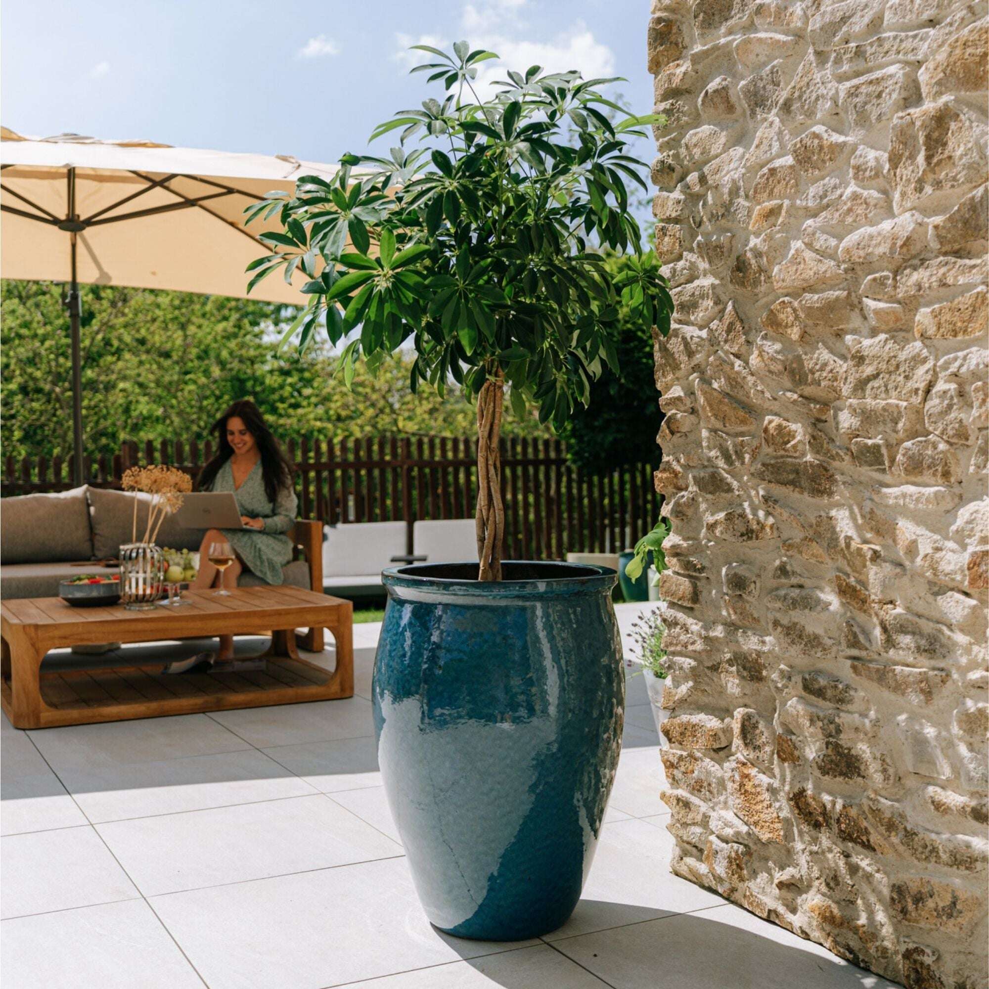 BACCHUS 50x68cm bleu azur Provencelia