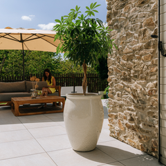 BACCHUS 50x68cm cream