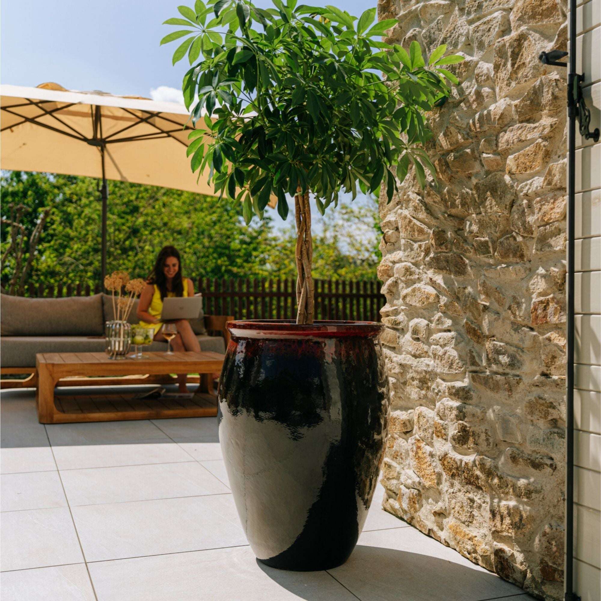 BACCHUS 50x68cm noir & rouge Provencelia