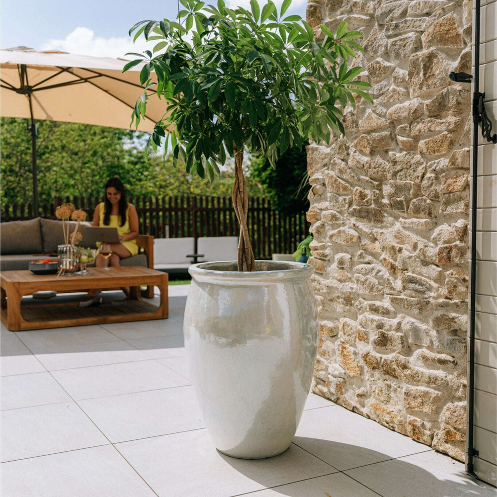 Vaso BACCHUS 50x68cm perla