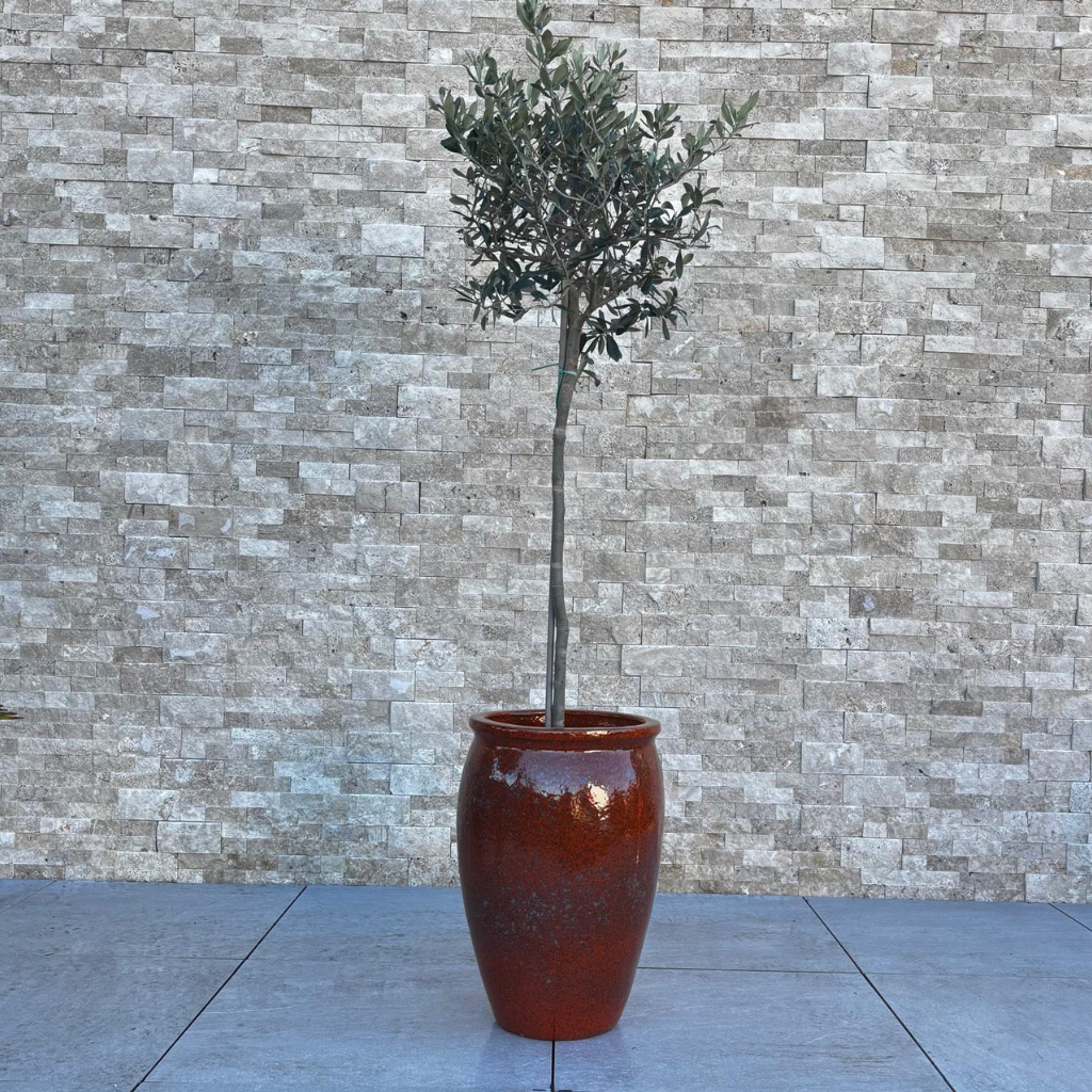 BACCHUS 50x68cm rouille d'automne Provencelia