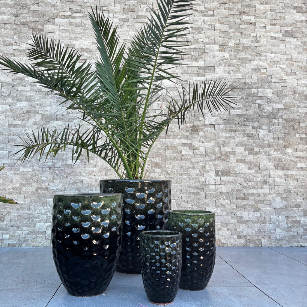 Vaso Merovee a forma di anfora nero e verde in ceramica smaltata, tra vari vasi con palma