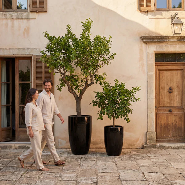 Black Eiffel glazed ceramic planter, with two trees in front of a house