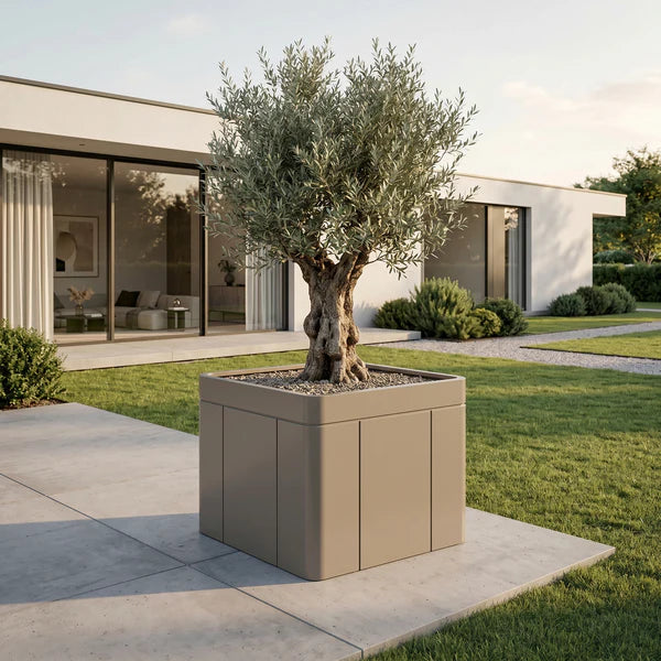 Champagne Infinity-X rectangular planter 120x100 cm in galvanised steel, olive tree planted in front of a house