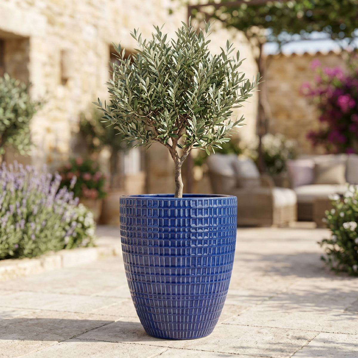 Decorative Cobalt Blue Verne glazed ceramic planter, with olive tree on a terrace