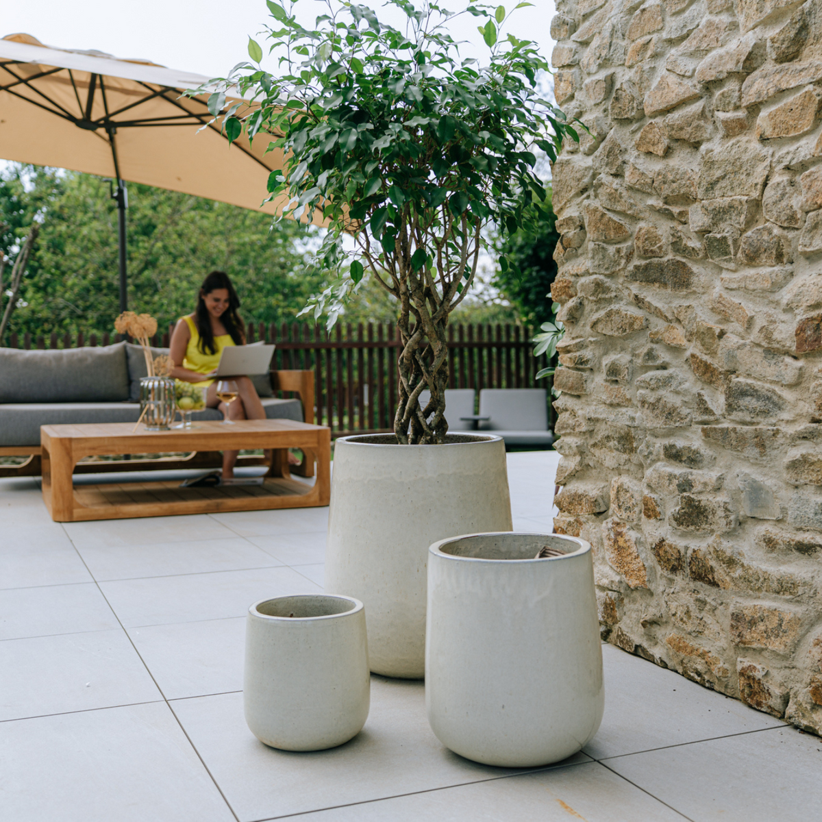 Pot Diane décoratif 23x23 cm crème en terre cuite émaillée, avec arbuste sur terrasse